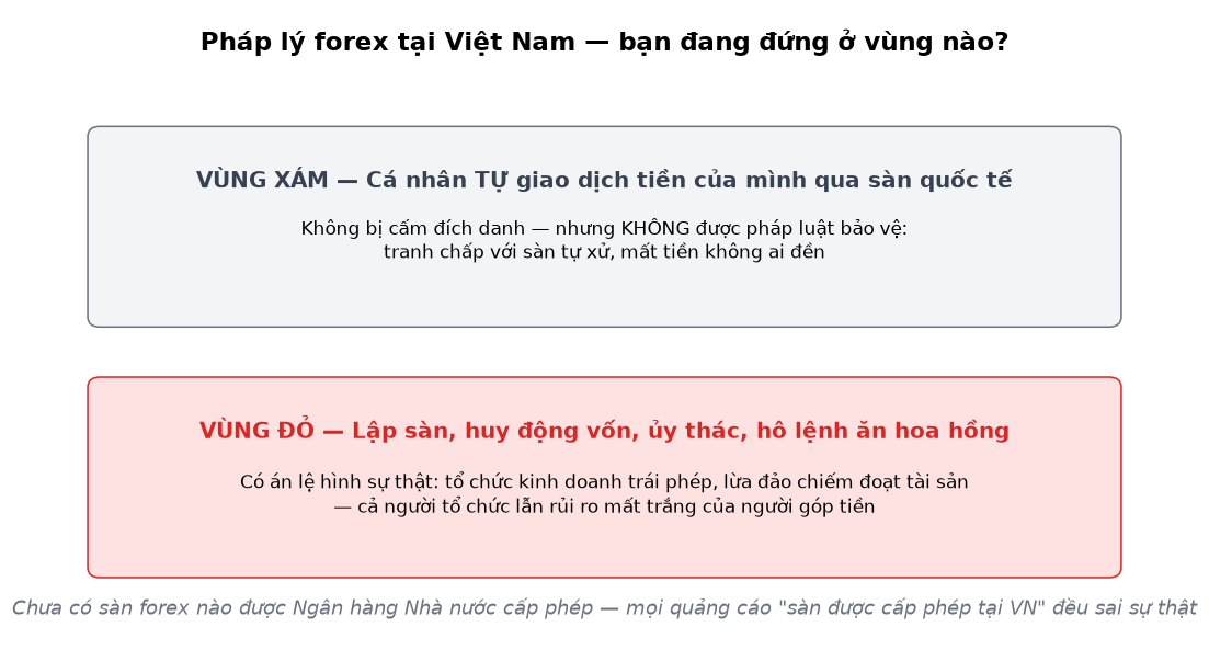 Minh hoạ đối chiếu pháp nhân và giấy phép của sàn forex